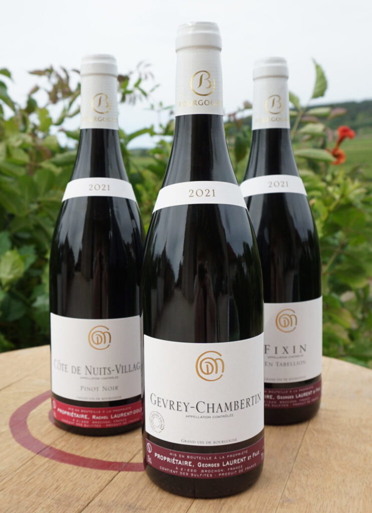 Khám phá rượu vang Patriarche Gevrey Chambertin Les Corbeaux